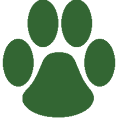 The NUMBER ONE news source for what's happening at Greendale High School. DM us with story ideas and check us out every month!