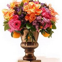 Florabundance (@florabundance) 's Twitter Profile Photo Florabundance (@florabundance) 's Twitter Profile Photo