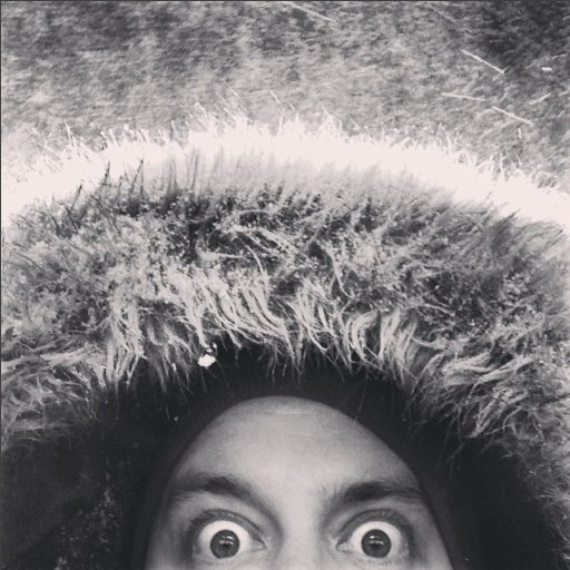 gravenites's profile picture. 