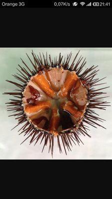 BetMoradell's profile picture. 