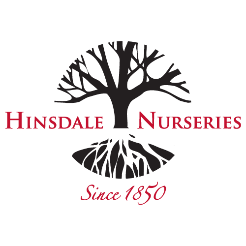 We are a local nursery that has proudly served the greater Willowbrook / Hinsdale area for over 150 years. We are open to the public & for wholesale!