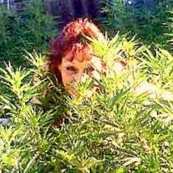 I am a survivor of many things. An active lover of cannabis. I love my kids and my freedom. I love Our Planet.