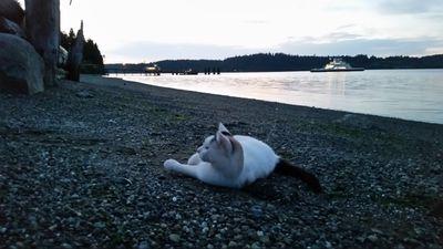 BrianPTaylor's profile picture. 