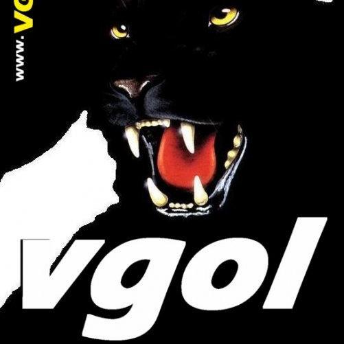 #VASCO da Gama On Line - @VGOL www.VGOL.com.br  Site Puro-Sangue da LINDA do VASCO! Clube de Regatas Vasco da Gama - Twitter VASCO #VGOL - SIGA-NOS diariamente!