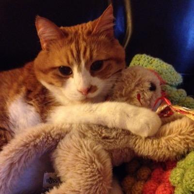 YllomeloC's profile picture. 