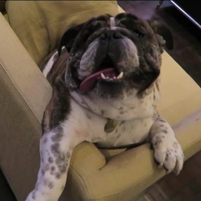 xSoft123's profile picture. 