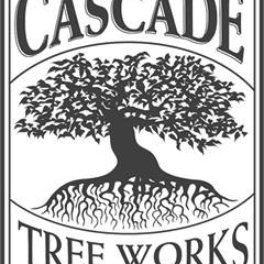 CascadetreeWA's profile picture. 