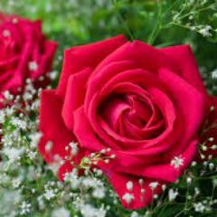 I'm interested in movies and their presentation, I dream of reaching fame