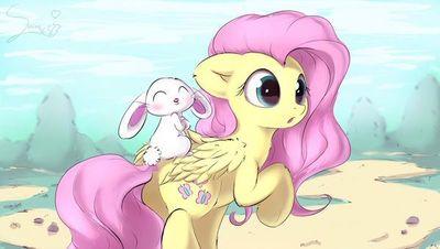 Moi c'est Fluttershy 0\\\0 Les poneys c'est trop cute et pi c'est... c'est... c'est tout 0\\\0 (NO CLOP ! Bande de zoophile d'animation ! x3)#BronyA50% #Timide