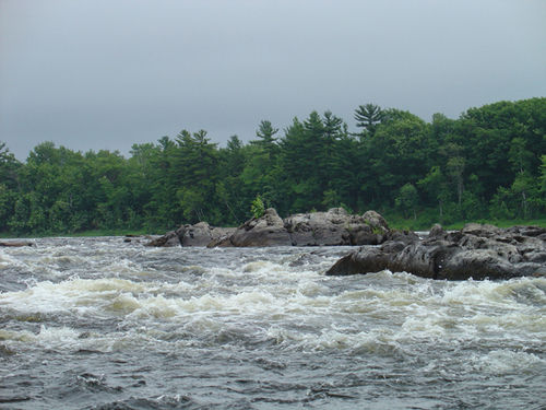 Penobscot River RestorationTrust: Working to restore Atlantic salmon, shad, river herring, and 7 other species of sea-run fish to the Penobscot River watershed.