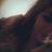 kaylawells221's profile image