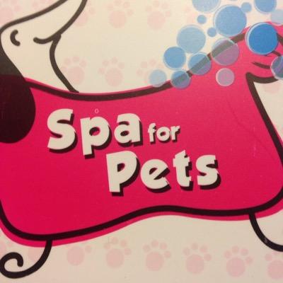 Spa for Pets, Peluqueria Canina móvil, un nuevo concepto en la atención de tu mascota