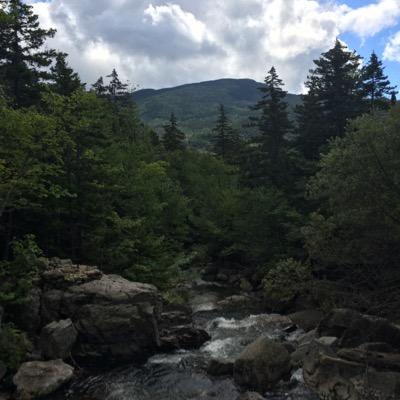 dylanwatson172's profile picture. 