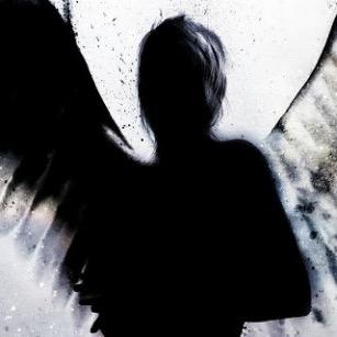 i am shadow angel a hunter a killer maded a god i am shadow angel i have wings i love to rp my (kik is dominicksamchez2490) #singe