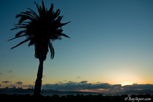 BayTaper's profile picture. One Man's Multimedia Travels Through the San Francisco Jazz & Creative Music Scene