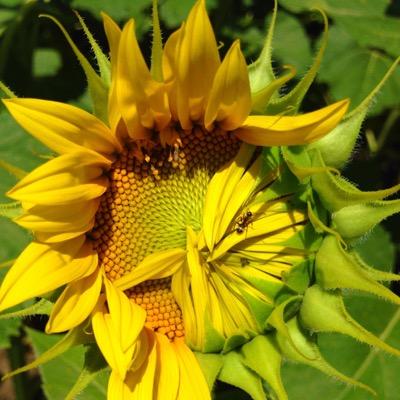 coolodessaf's profile picture. Жизнь в Одессе / только свои фото