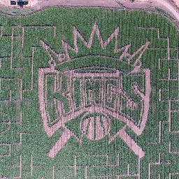 Cool Patch Pumpkins Profile