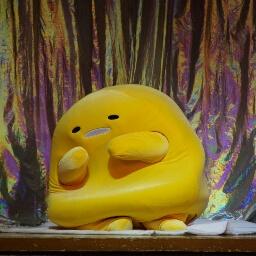 冬眠系めーちゃん