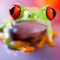 CCCCBio's profile picture. 