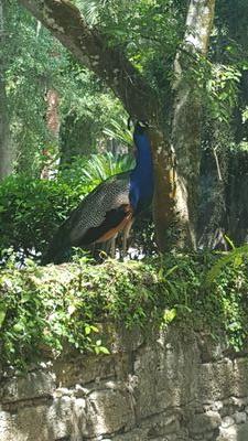 melisandevictor's profile picture. 