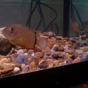 barry keith charlton - @severum8264 - Twitter