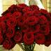سوري وأعشق الخليج (@osamabrdan1) Twitter profile photo سوري وأعشق الخليج (@osamabrdan1) Twitter profile photo