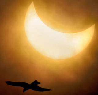 ProwlAlert's profile picture. JAPA - Faith Advocacy - Reality justice & peace advocate. In the prophetic. On the web @ https://t.co/SqxYAPKRgl *[Like don't mean I like, necessarily!]