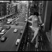 Bal Porsuğu (@balporsuku) Twitter profile photo