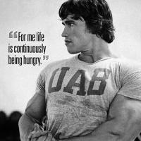 Advanced Physique (@ap__fitness) 's Twitter Profile