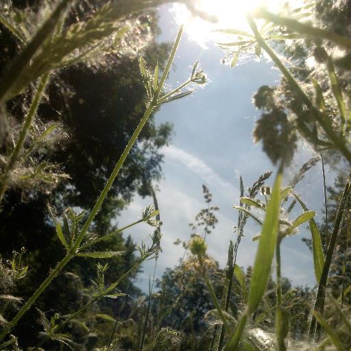 appspring10's profile picture. https://t.co/Dy55BTjjB6