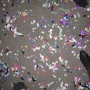 manuela ernst - @ellamarini - Twitter