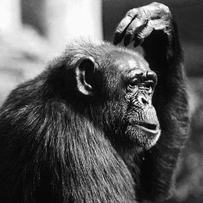 teachercentric's profile picture. Education, leadership, policy.