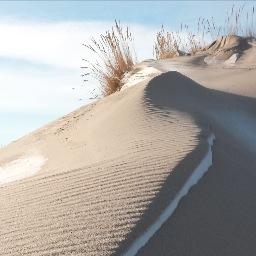 lisagreatlakes's profile picture. Writer. Consultant. Sharing a new vision of Earth stewardship to residents and visitors in the Great Lakes Region. Look for my blog and podcast in 2019.