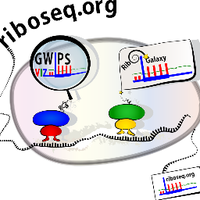 RiboSeqOrg (@riboseqorg) 's Twitter Profile Photo RiboSeqOrg (@riboseqorg) 's Twitter Profile Photo