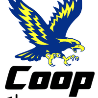 HISD Coop Elementary (@coop_eagles) 's Twitter Profile