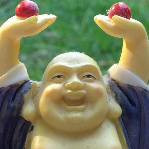 TheTomHutch's profile picture. Eats eggs.