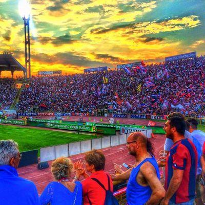 DenisRinaldi3's profile picture. bolognese