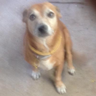 tito488's profile picture. 