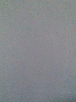 T_SCHEZ's profile picture. 