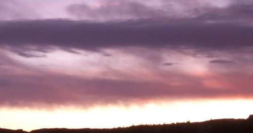 eyegotworms's profile picture. Hi all, i'm eyegotworms from eBay. Follow me for links to all of my great products.