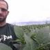 Ryan Mackenthun (@browntonfarmboy) Twitter profile photo Ryan Mackenthun (@browntonfarmboy) Twitter profile photo