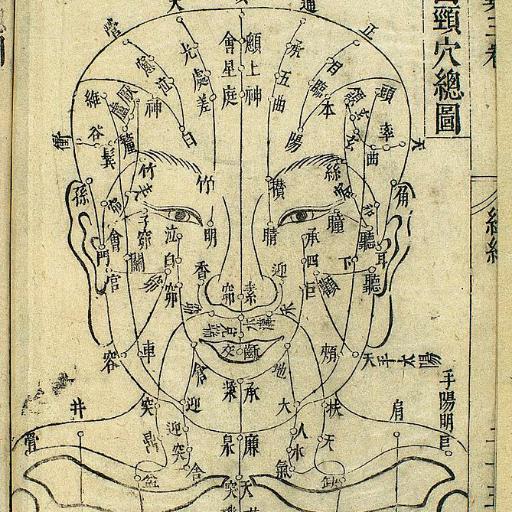 The Flower of Life Team is a group of like-minded therapists with their philosophical roots in both the Chinese Medicine and Western naturopathic traditions.