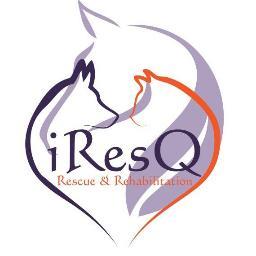 iResQ is a Colorado animal welfare organization dedicated to the Rescue and Rehabilitation of pets who would have been euthanized at a shelter.