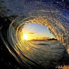 Hydro_tR's profile picture. Leader of tR 
I'm a hydrid