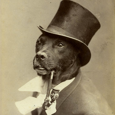 hatondog's profile picture. A Podcasting Network (@hmmchoice, @vcvpodcast, @podghast...)