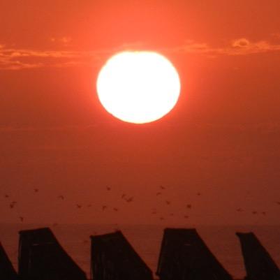 EdgardoQuirosE's profile picture. 