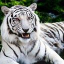 Debbie Havens - @debhav1975 - Twitter