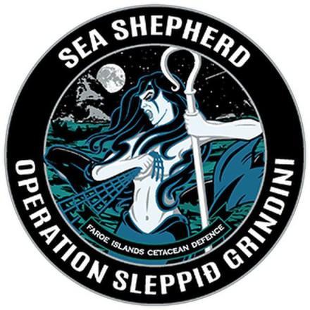 The official Canberra Chapter of @SeaShepherd Australia. DEFEND | CONSERVE | PROTECT