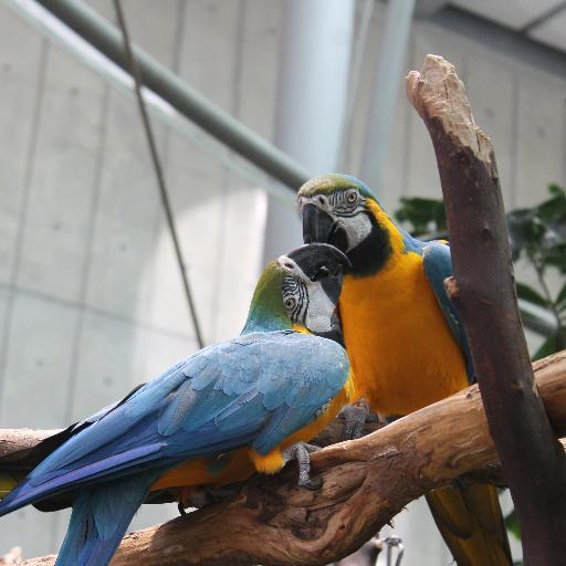 RosaLynneslove's profile picture. Aspiring Author, Mother, and Wife hoping to help others who have been betrayed by their partners and parents.