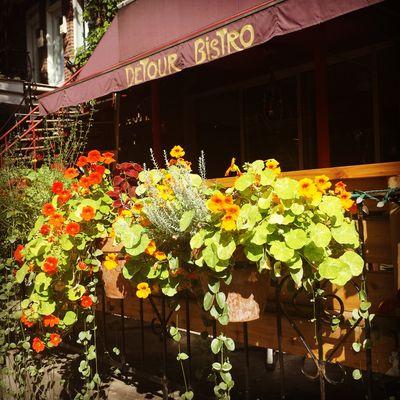 detourbistro's profile picture. Situé au coeur de Rosemont-la petite-patrie, à deux pas du cinéma beaubien